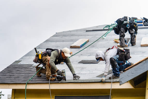 Professional Roofing technician working in Rochelle, VA